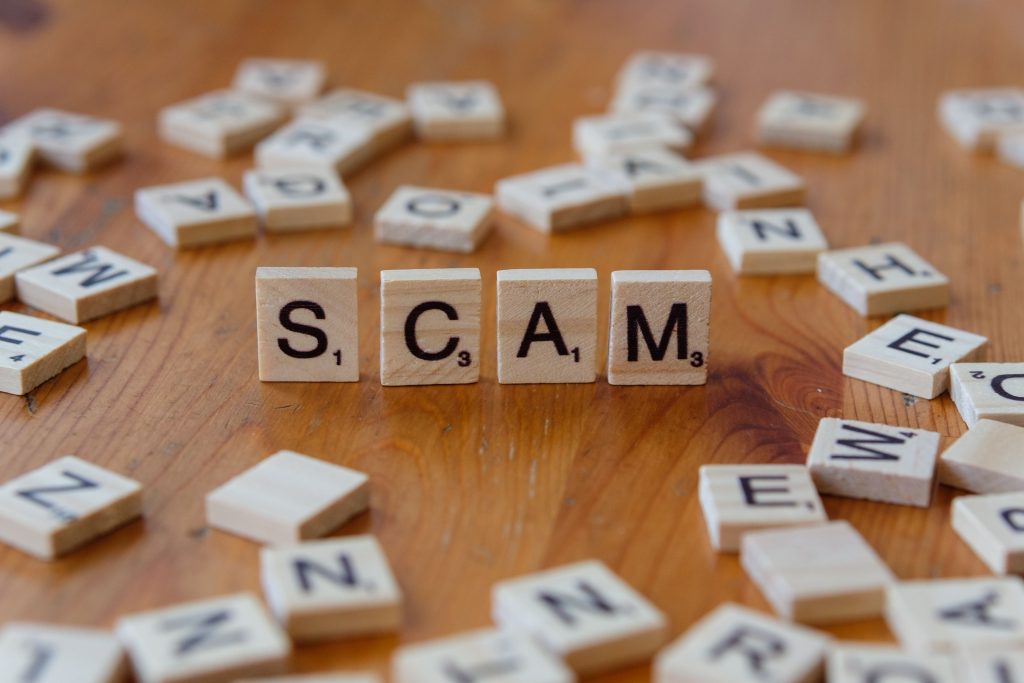 Have you ever ranked without backlinks? What worked?